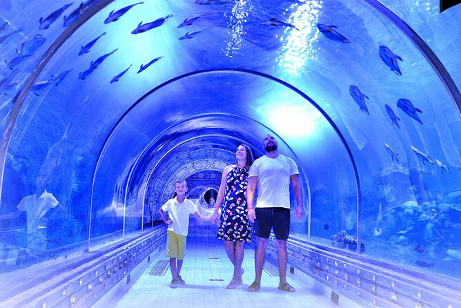 Explore hurghada grand aquarium egypt